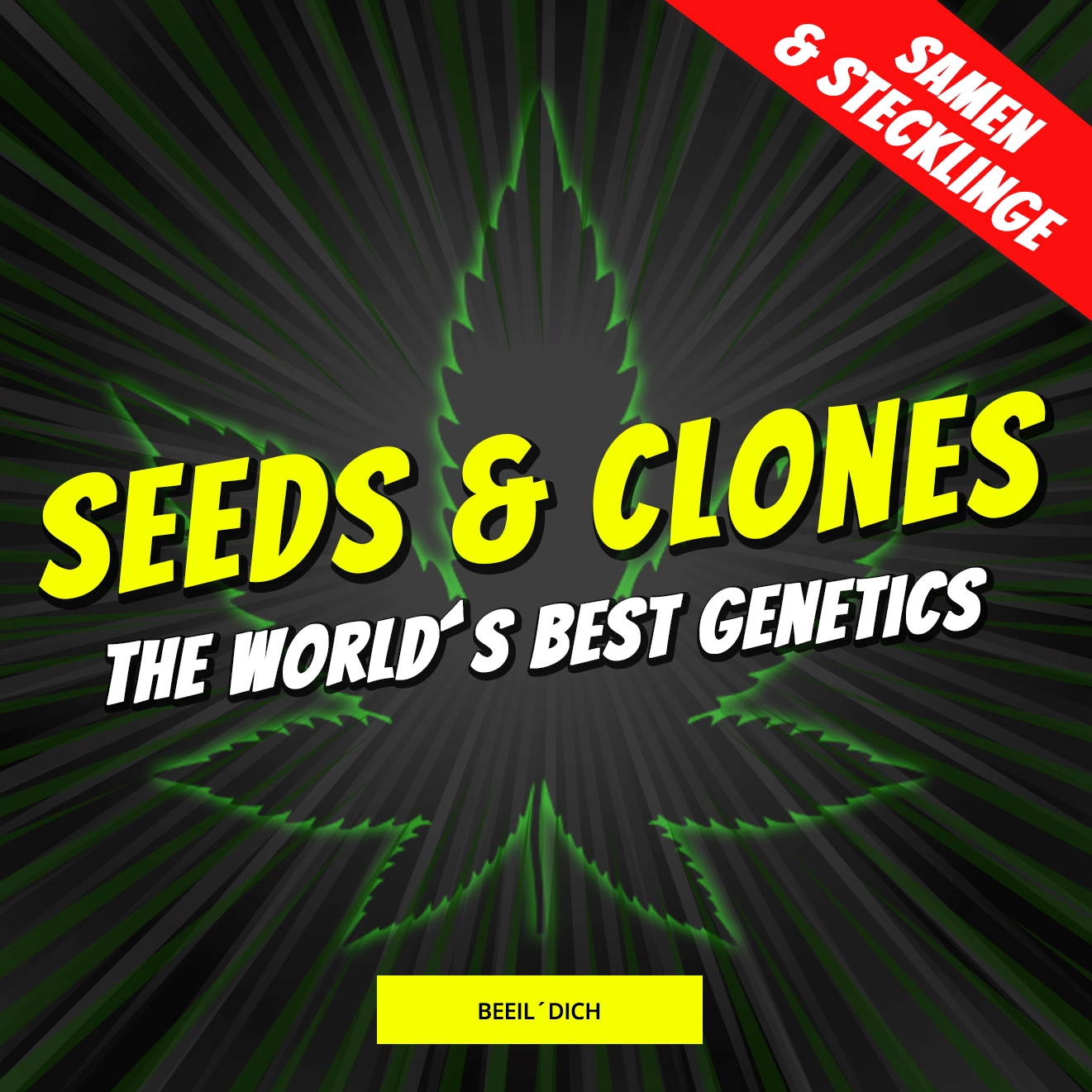 Cludi Banner Seeds and Clones Mobil